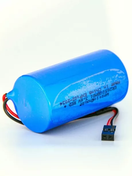 батарейка 3.6 В с коннектором Dupont 2,54 (BLS-2) Westinghouse ER 26500BMD1 (C) connector 