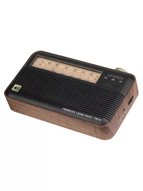 переносной ретро радиоприемник Retekess TR614 
