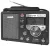 всеволновый цифровой радиоприемник с пультом Tecsun S-8800 (export version) black