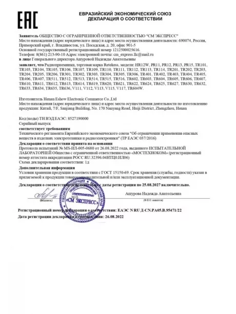 портативный цифровой радиоприемник Retekess TR605 black